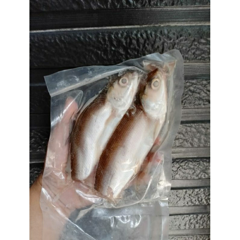 

Bandeng Cabut Duri isi 2ekor | Bandeng tanpa duri | Ikan Bandeng