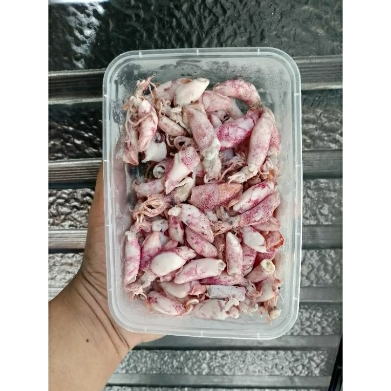 

Cumi Asin 500ml | Cumi Kering