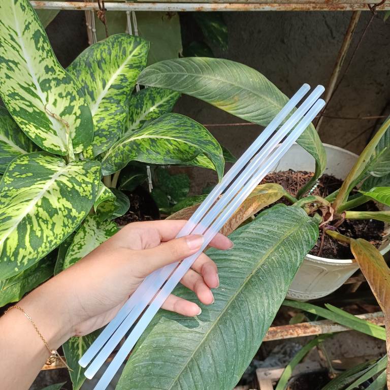 

(Q2) LEM BAKAR KECIL 30CM 7MM 30 cm 7 mm isi lem tembak lem bakar lilin merk random toko mbah ning tokombahning