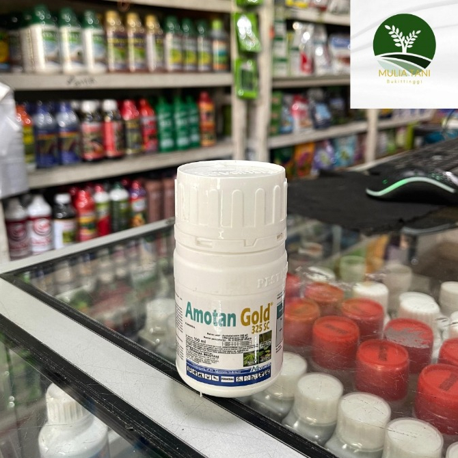 Amotan Gold 325 SC 100 ML Fungisida