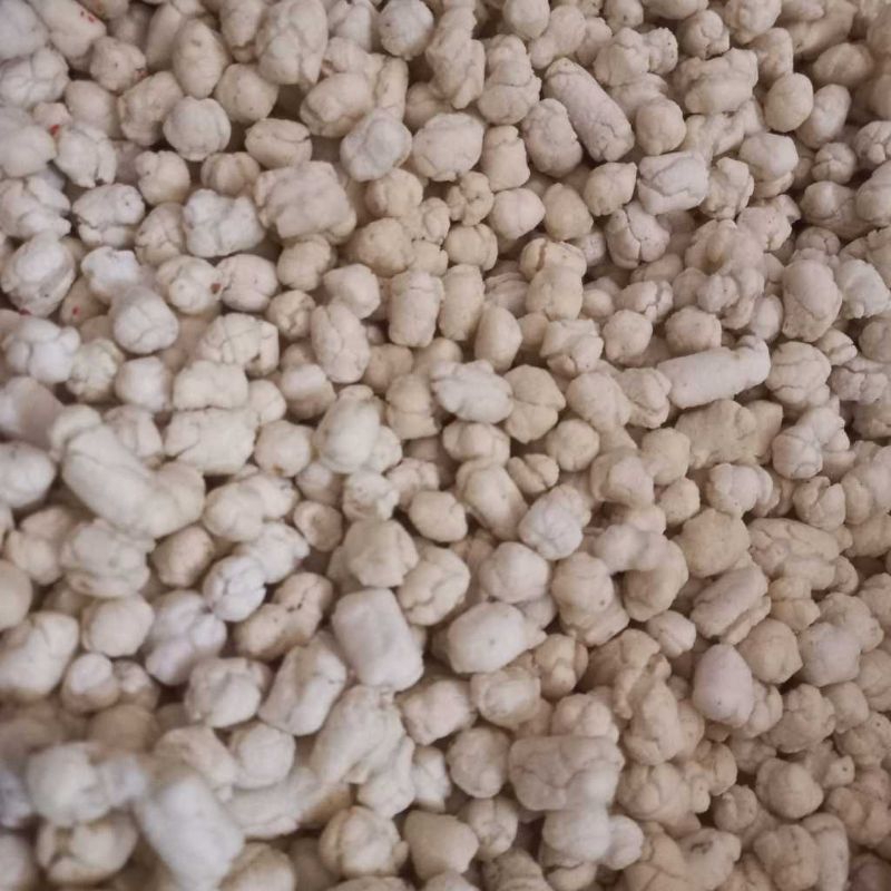 

pilus cikur 500gr harga murahh