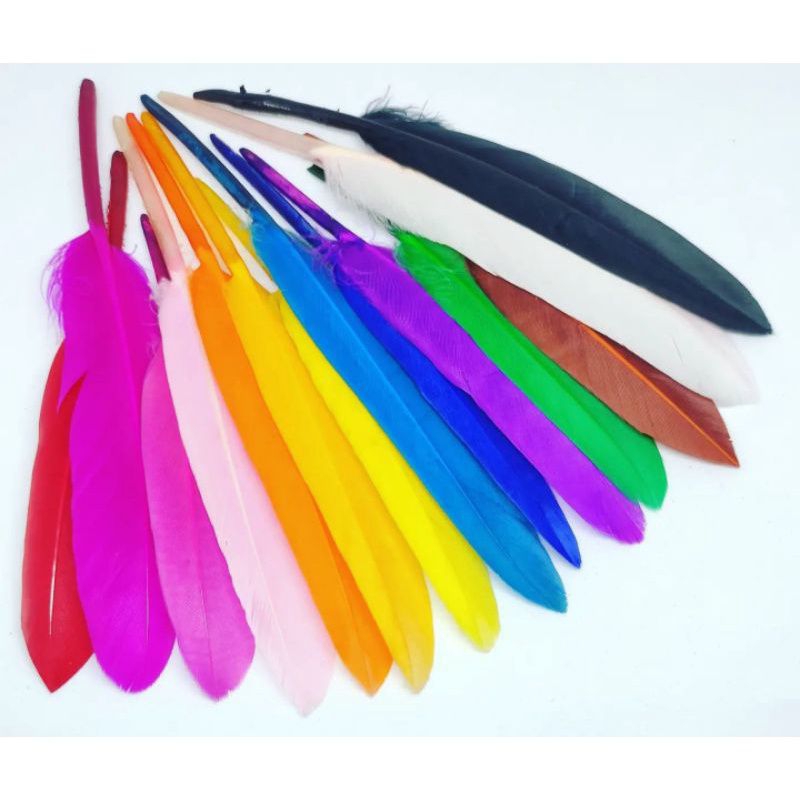 BL1 BULU AYAM TEGAK KECIL BULU SINTETIS BULU UNTUK KERAJINAN PRAKARYA