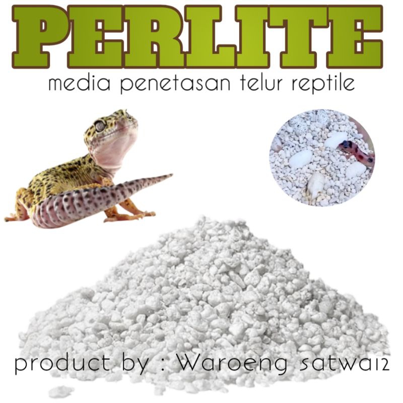 250GR Perlite media tetas telur gecko bearded dragon tokek bunglon ular tortoise kura kura darat sul