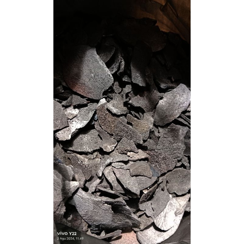 

arangbatokkelapapremiumkering