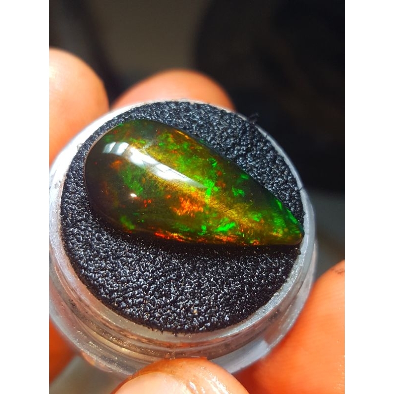 TERMURAH...,Natural Kalimaya Teh Lepasan Jarong Terbaik A2