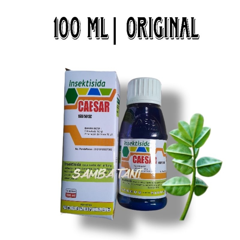 Insektisida Caisar caesar 100ml | pengendali ulat Grayak