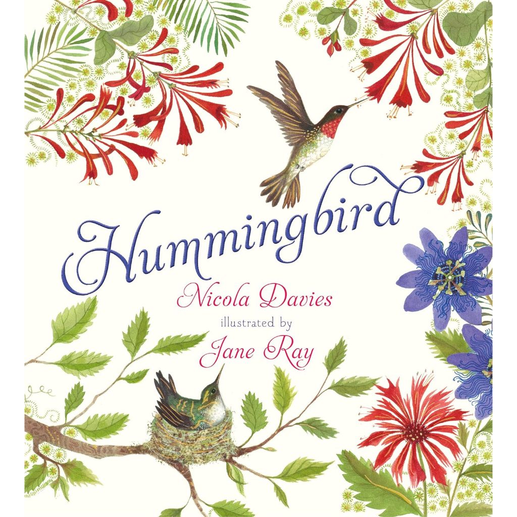 Hummingbird by Nicola Davies