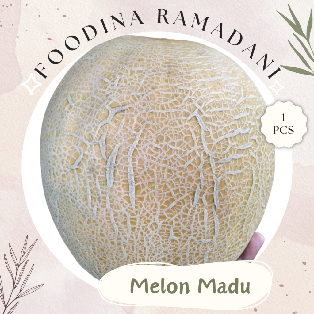 

BUAH MELON Madu - Honey Melon Fresh [ 1 Buah Size 2.6-3 Kg ] Harga Per PCS