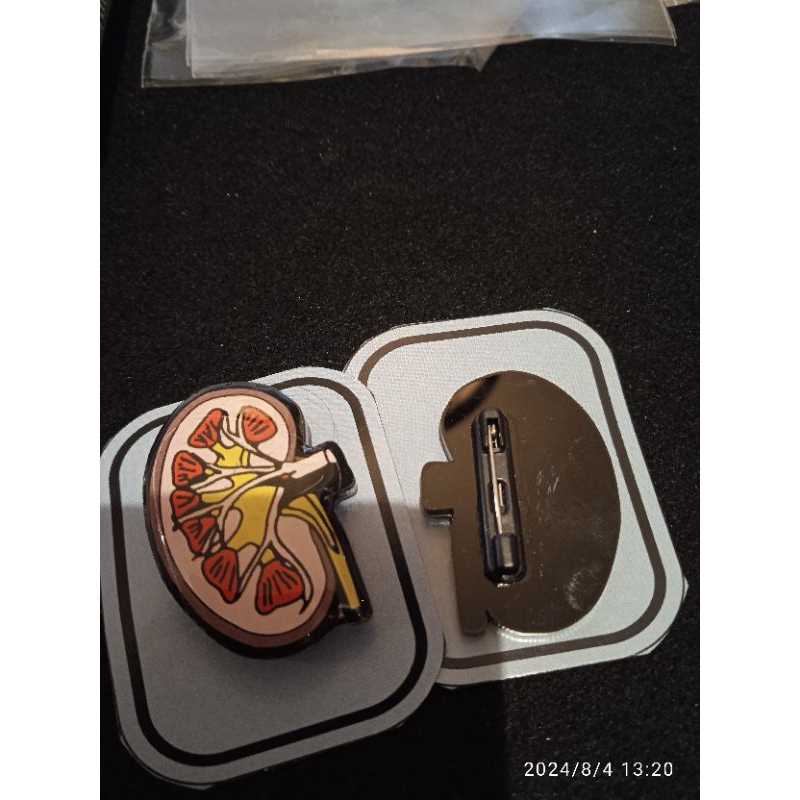 pin bahan akrilik anatomi ginjal