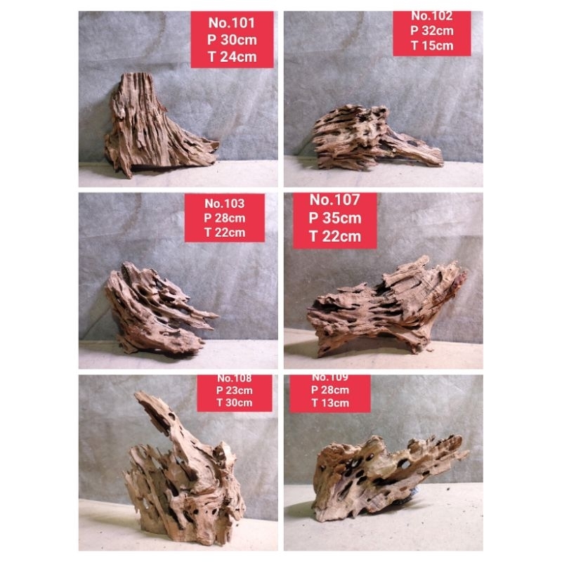 kayu rentek drift Wood size besar akar aquascape aquarium 101 SD 110
