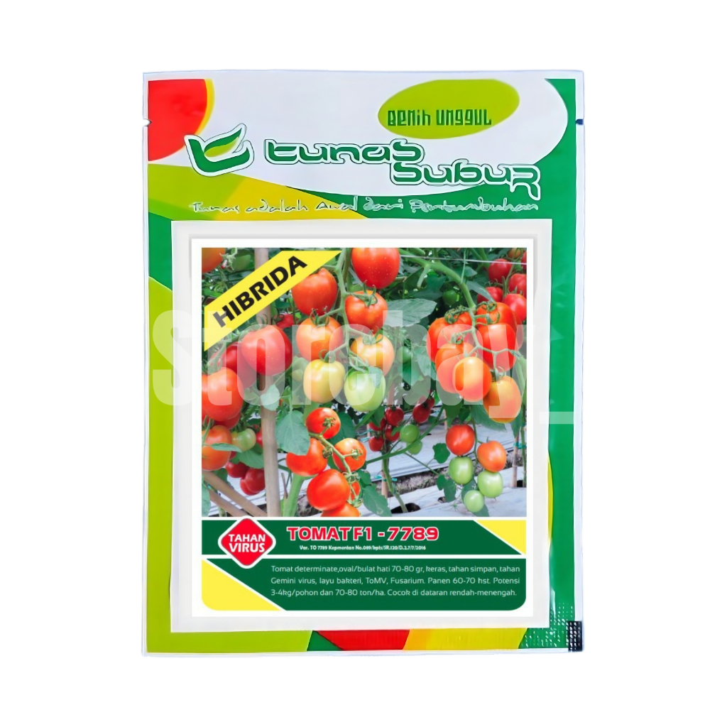 

TUNAS SUBUR Benih Tomat Hibrida TOMAT F1 - 7789 5 gr