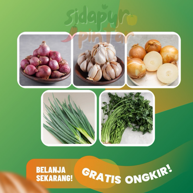 

Bawang merah putih bombay daun seledri bawang lokio bawang kucai