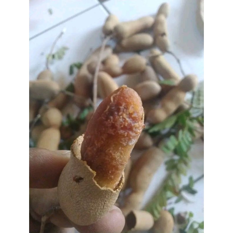 

Asam Jawa Masak Pohon Berat 250g
