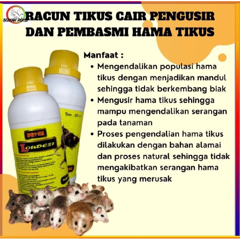 LOUDEST Pengusir Hama Tikus 250ml