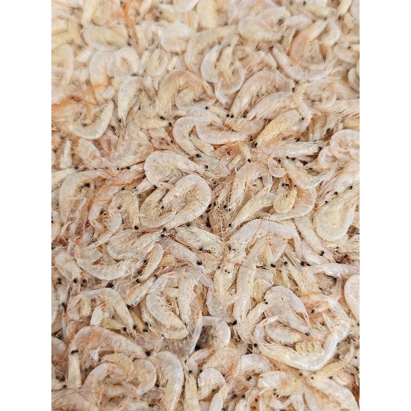 

Udang Reborn Red Happy