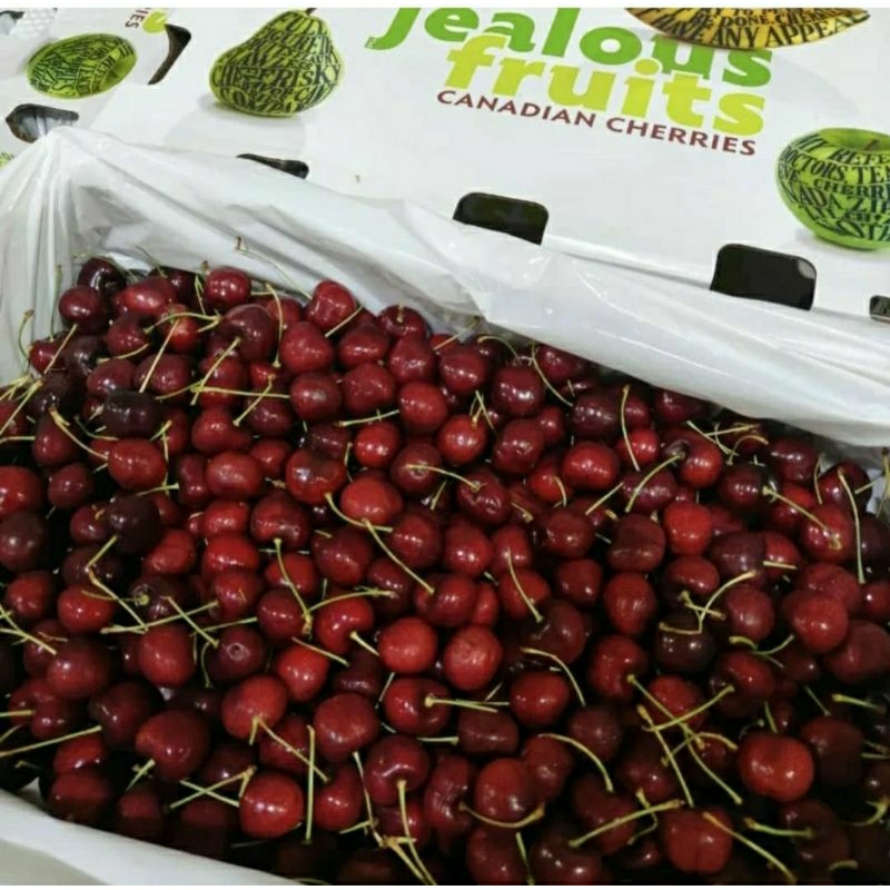 

cherry canada 5kg dus