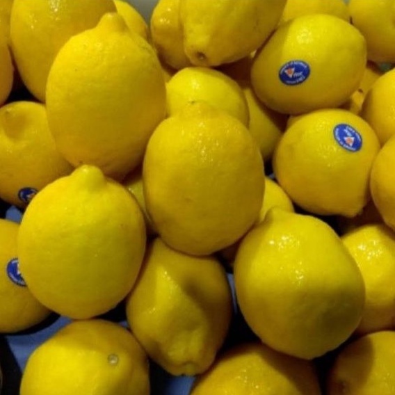 

LEMON IMPORT FRESH GROSIR 1 DUS