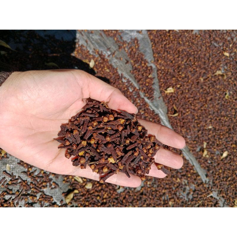 

Cengkeh Kering 1kg - Rempah