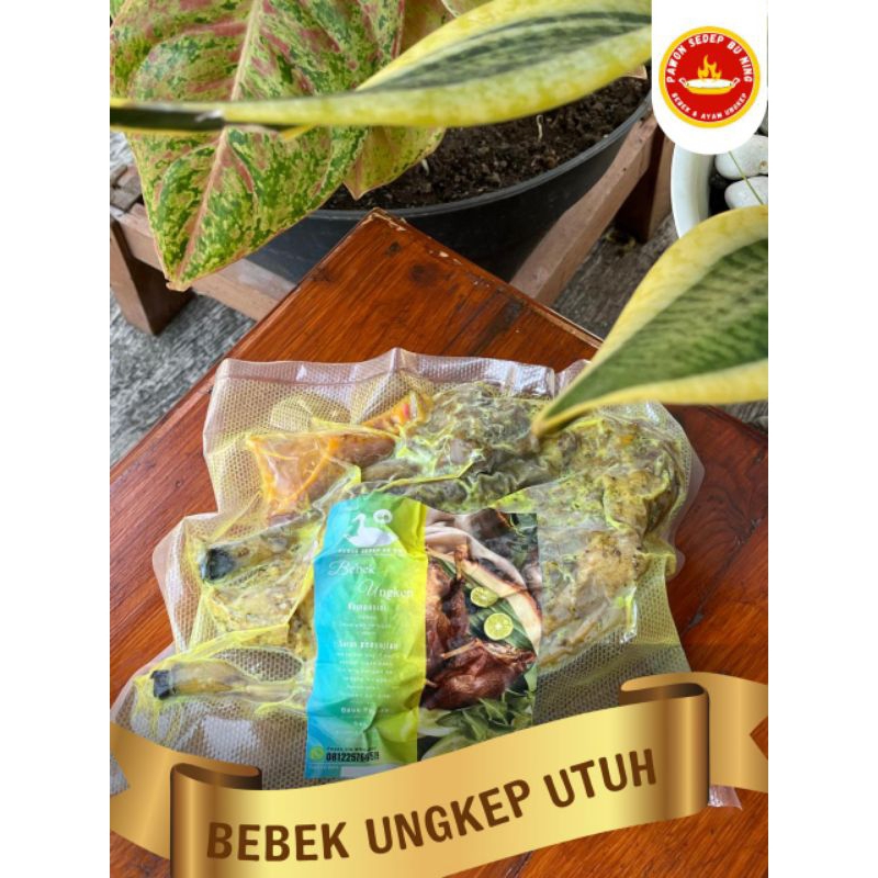 

BEBEK UNGKEP UTUH FROZEN 1 EKOR FREE SAMBAL