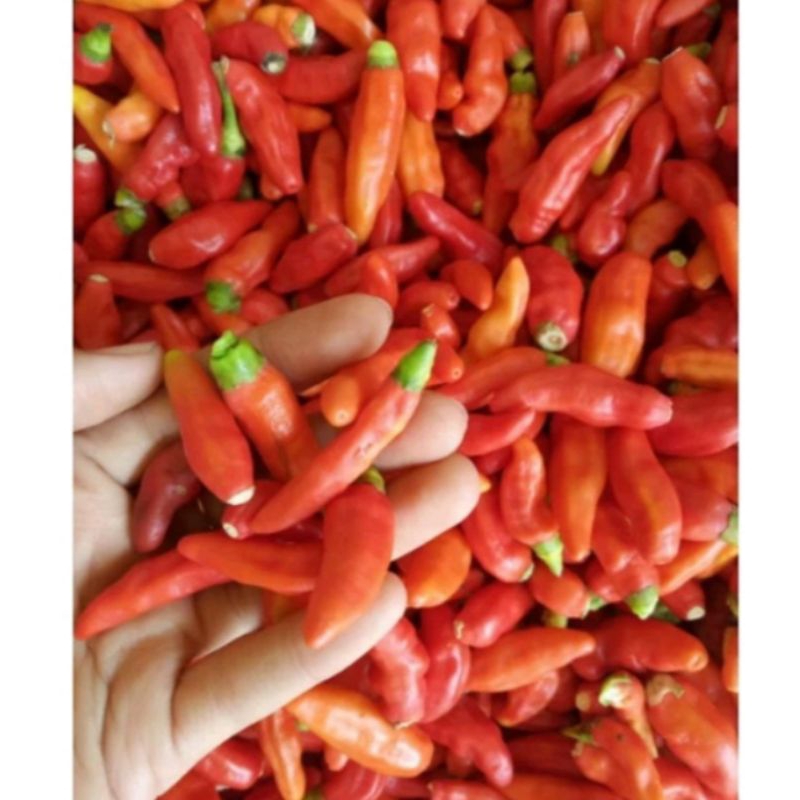 

cabe rawit merah sret 500gr