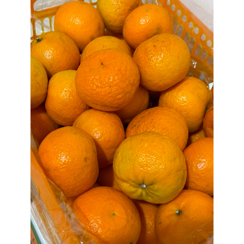 

SayurHD Buah Jeruk Wogam Wokam Wogan 500 Gram