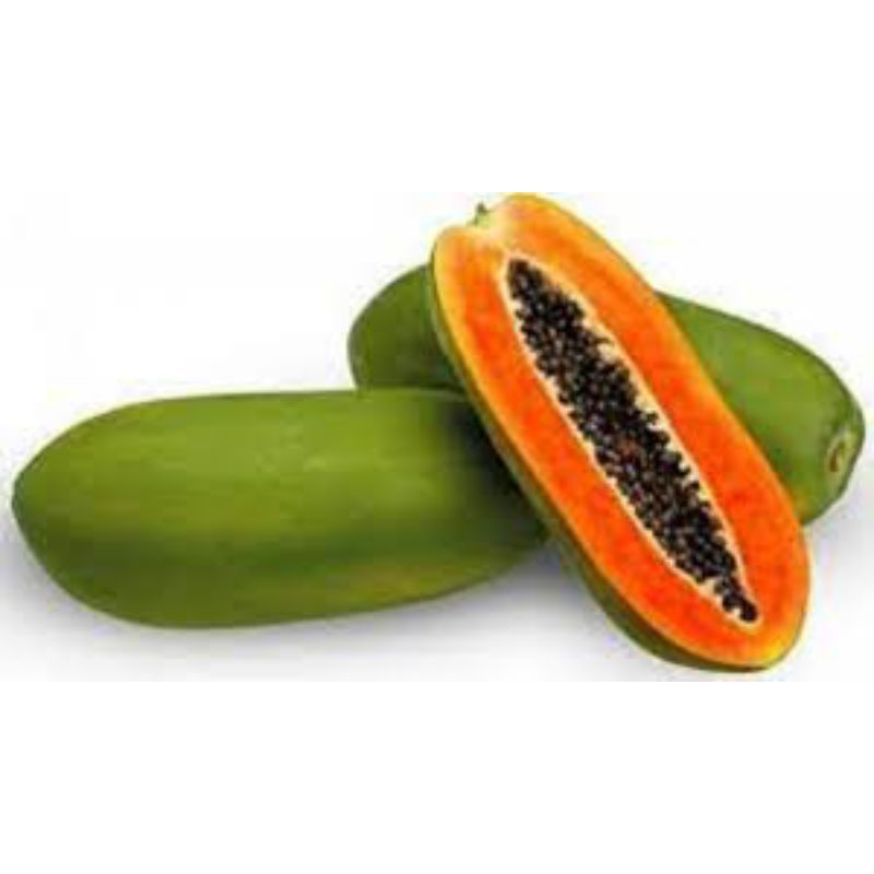

buah pepaya kalifornia 1 biji