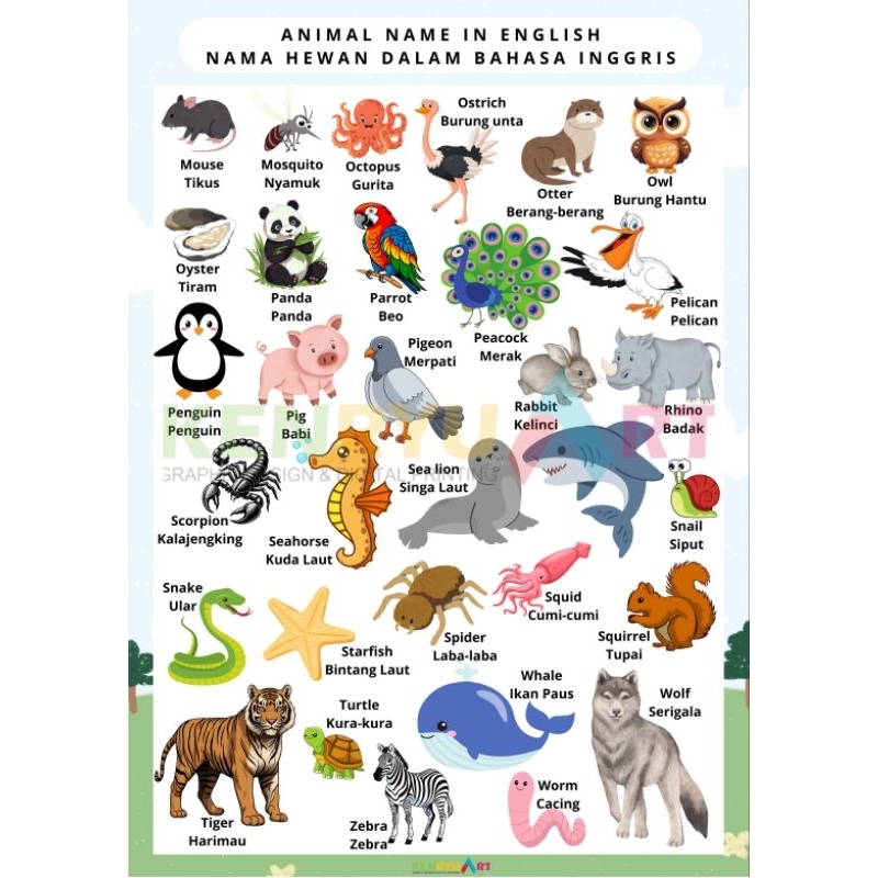 Poster edukasi ukuran A3 / Nama buah dalam bahasa inggris / nama hewan dalam bahasa inggris
