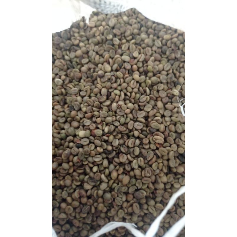 

robusta asalan