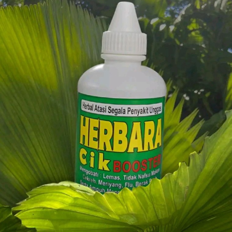 KODE V6H HERBARACIK Booster untuk Burung Ayam  Unggas  Meriyang Pilek Snot Cekreh Flu dan aratan