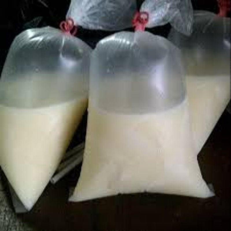 

kelapa bakar ijo non premium