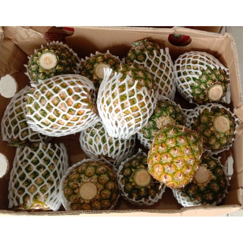 

Nanas madu Sunpride size kecil