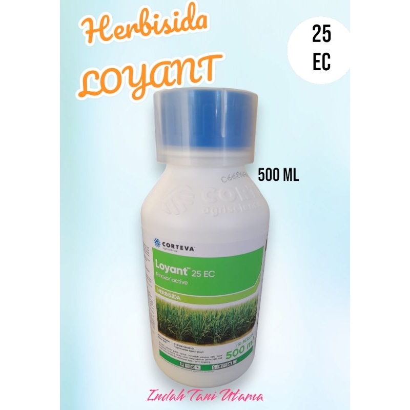 Herbisida LOYANT 500 ml | LOYANT 25 EC