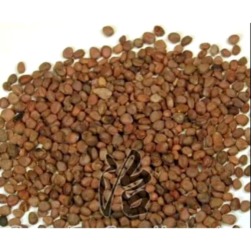 

300 G GR GRAM 莱菔子 LAI FU ZI SEMEN RAPHANI RADISH SEED SEEDS DAIKON