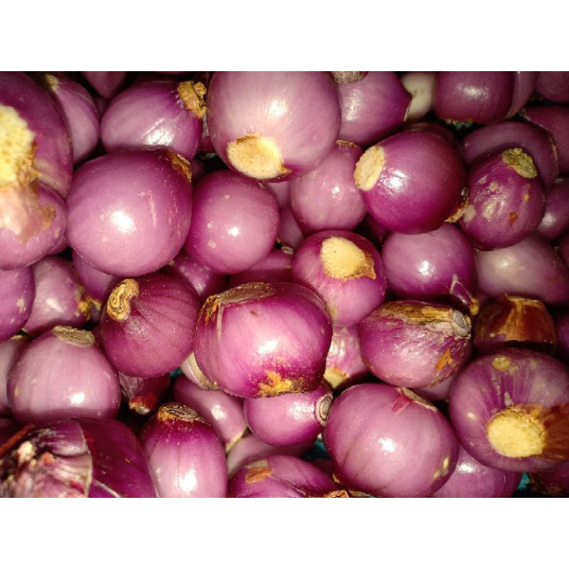 

BAWANG MERAH KUPAS | Pasar Makassar