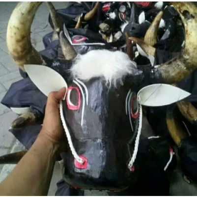 Bantengan tanduk asli free kain kemul panjang Banteng Kayu