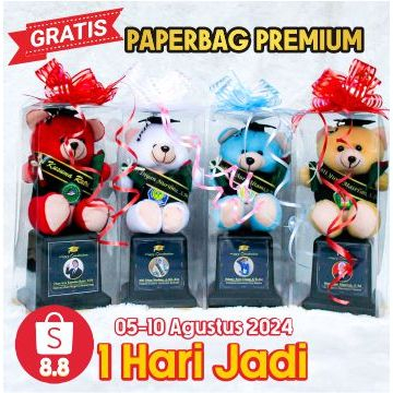 READY 1 HARI PROSES TANPA PO  PIALA BONEKA  WISUDA BEAR MURAH