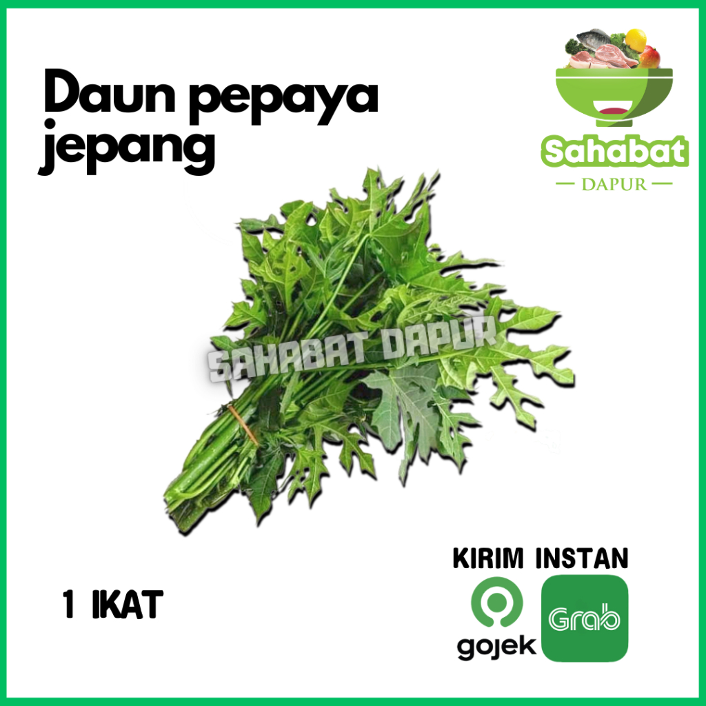 

Daun Pepaya Jepang 1 Ikat / Sayuran - Sahabatdapur