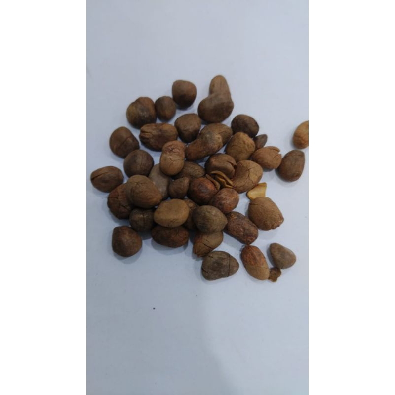 

600 G GR GRAM 大风子 大枫子 DA FENG ZI CHAULMOOGRATREE SEED