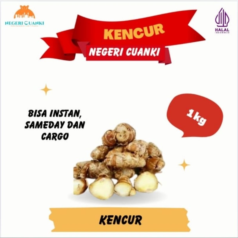 

Kencur Segar 1kg Asli Petani Bumbu Seblak dan Masakan