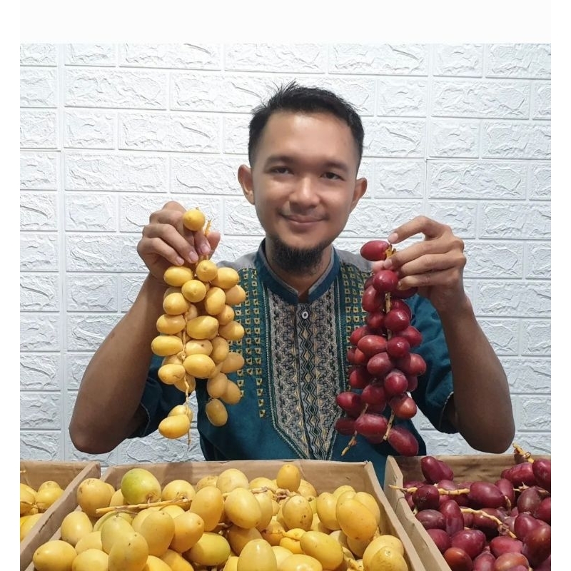 (TERBARU) Kurma Muda FRESH Kuning, Merah, HIJAU Grosir Jual Kurma Muda di Medan