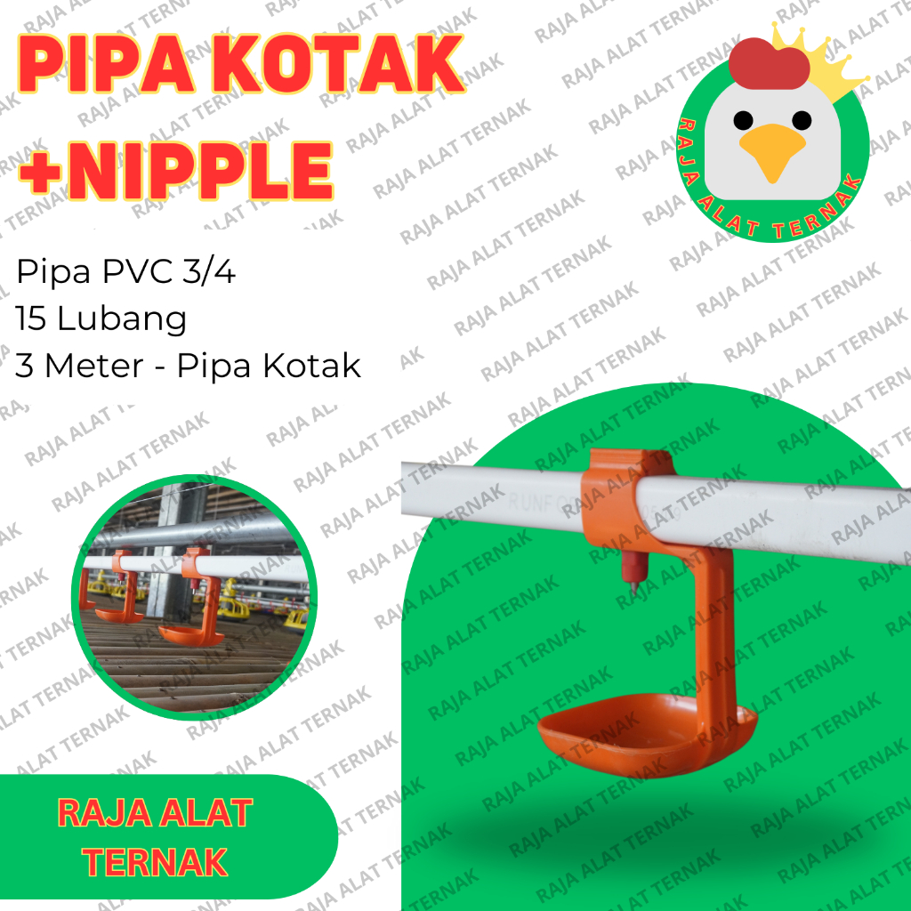 Pipa Kotak Plus Nipple 3/4 15 Lubang - Pipa/Paralon Kotak Nipple/Nipel/Napel/Nipple/Niple Ayam - Ala