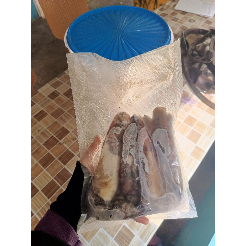 

DS_SEAFOOD Cumi Frozen Utuh