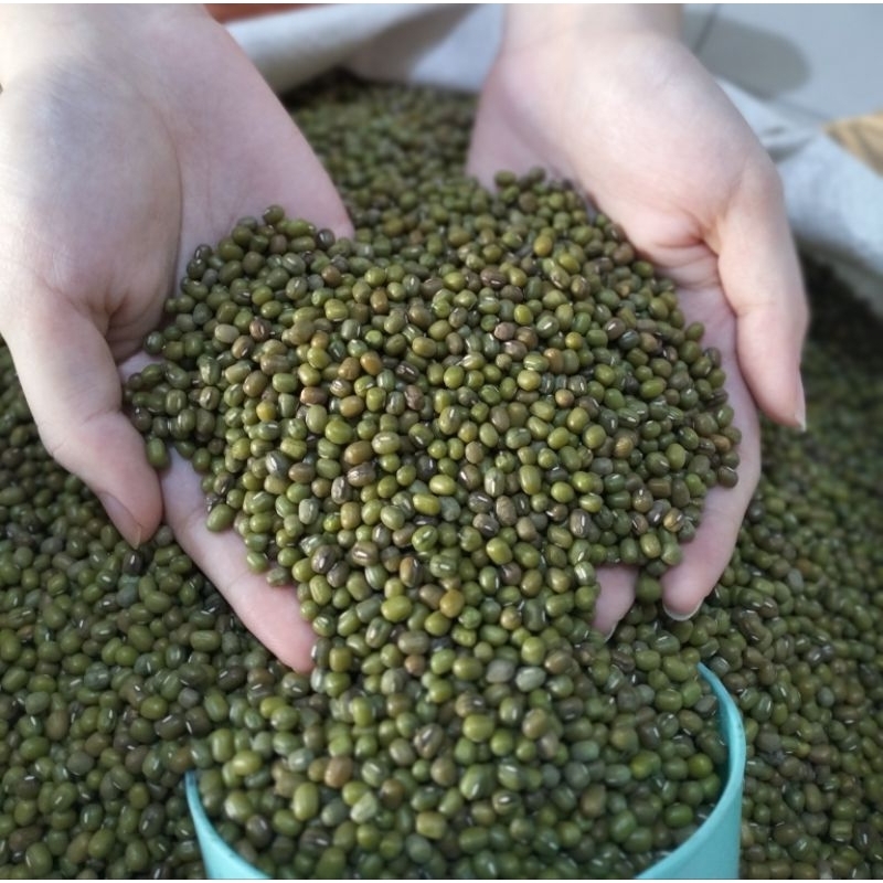 

Kacang Hijau Super Impor 1Kg