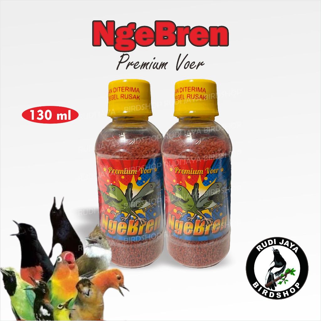 NGEBREN EBOD JAYA VOER PAKAN MAKANAN BURUNG PLECI CIBLEK MURAI KACER CUCAK PRENJAK BIKIN GACOR
