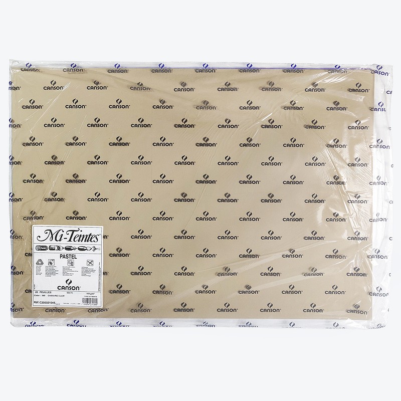 

Canson Mi-Teintes 55X75 160G Oyster 340- Kertas Dengan Dua Tesktur Untuk Media Kering