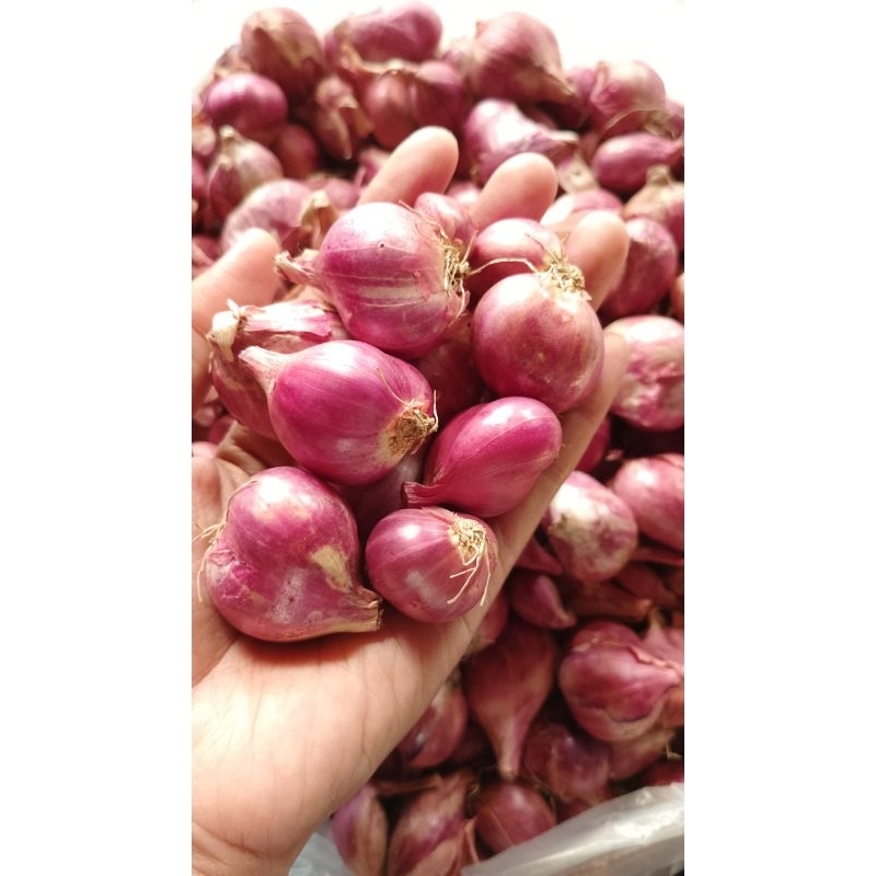 

MURAH MERIAH Bawang merah 1 kg JATIM