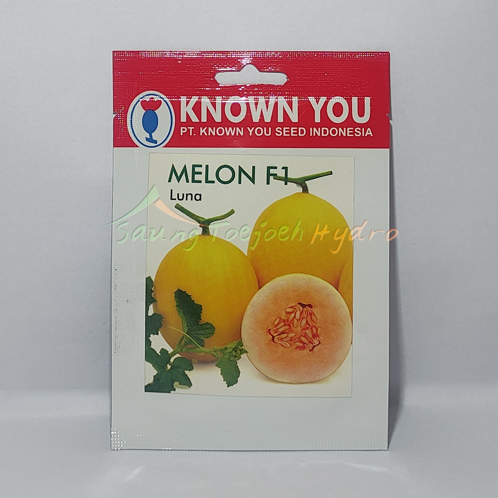 Benih melon luna kys known you seed