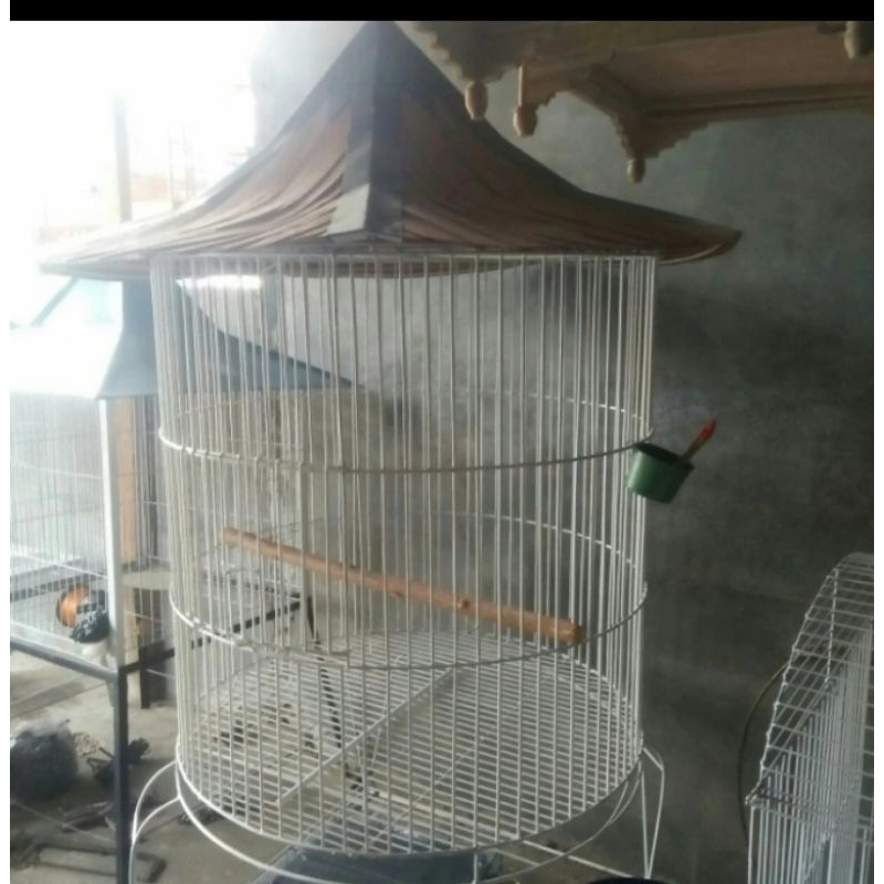 sangkar kandang burung besar, Kaka tua ayam bekisar ayam pelung dll