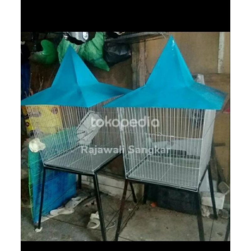 Sangkar kandang burung beo nuri jalak ayam Kate dll