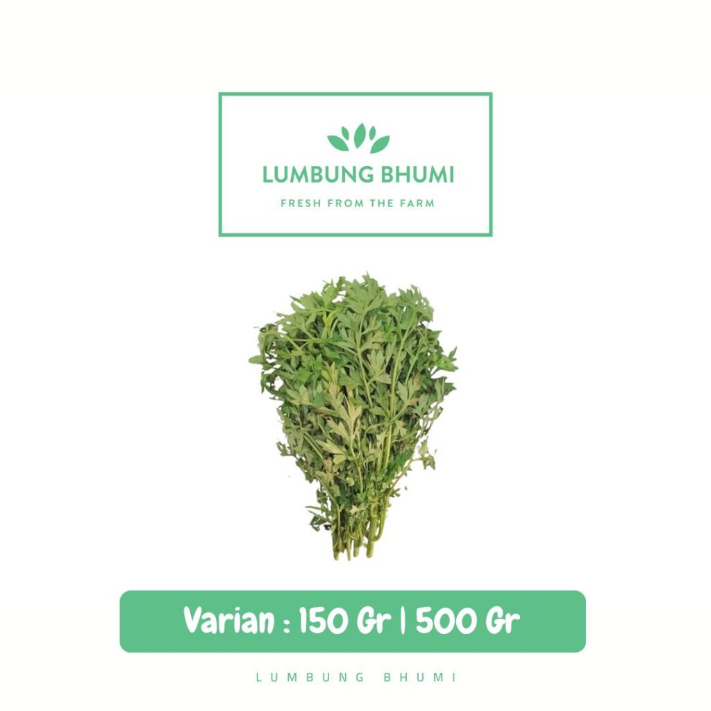 

Daun Kenikir Sayur - Lumbung Bhumi